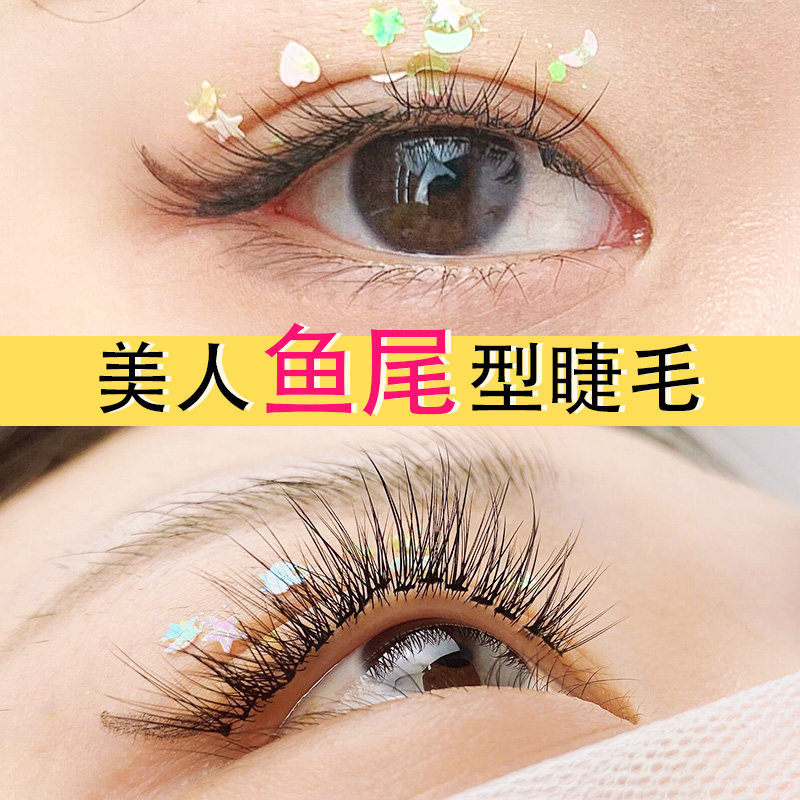 假睫毛浓密素材模板 假睫毛浓密图片下载 小麦优选