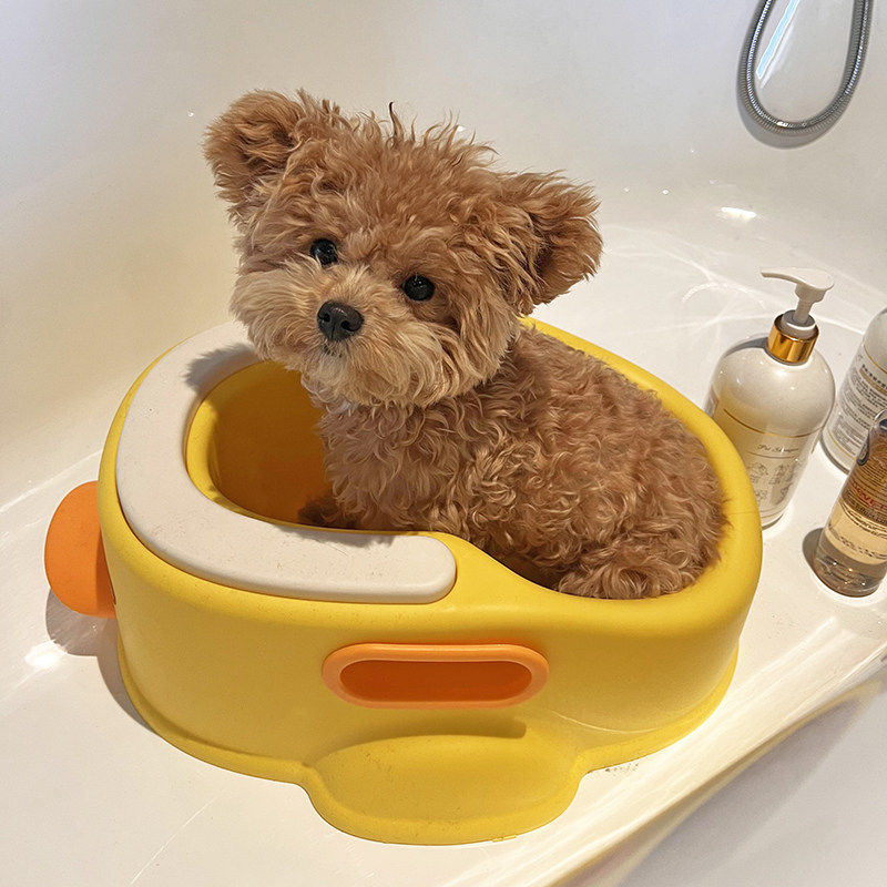 狗狗洗澡盆宠物专用洗澡盆猫咪泡澡浴盆桶小型犬防侧翻浴缸鸭子盆