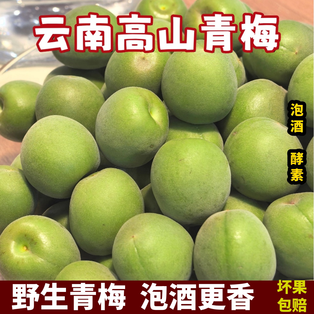 云南青梅野生酸梅子5斤孕妇水果高山福建诏安青梅鲜果泡酒专用梅