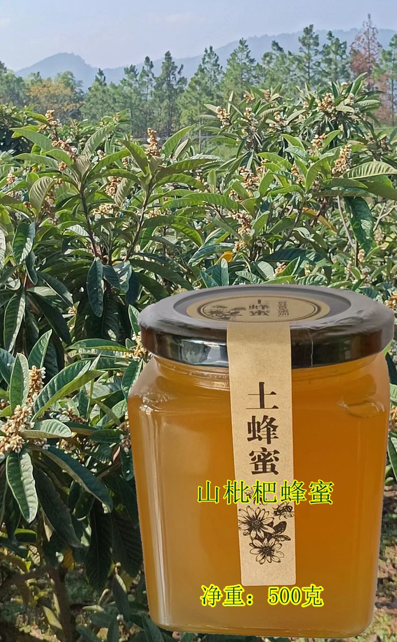 农家新品枇杷蜂蜜中华蜜蜂深山采集天然纯正土蜂蜜500g特惠包邮
