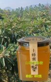 包邮 农家新品 枇杷蜂蜜中华蜜蜂深山采集天然纯正土蜂蜜500g特惠