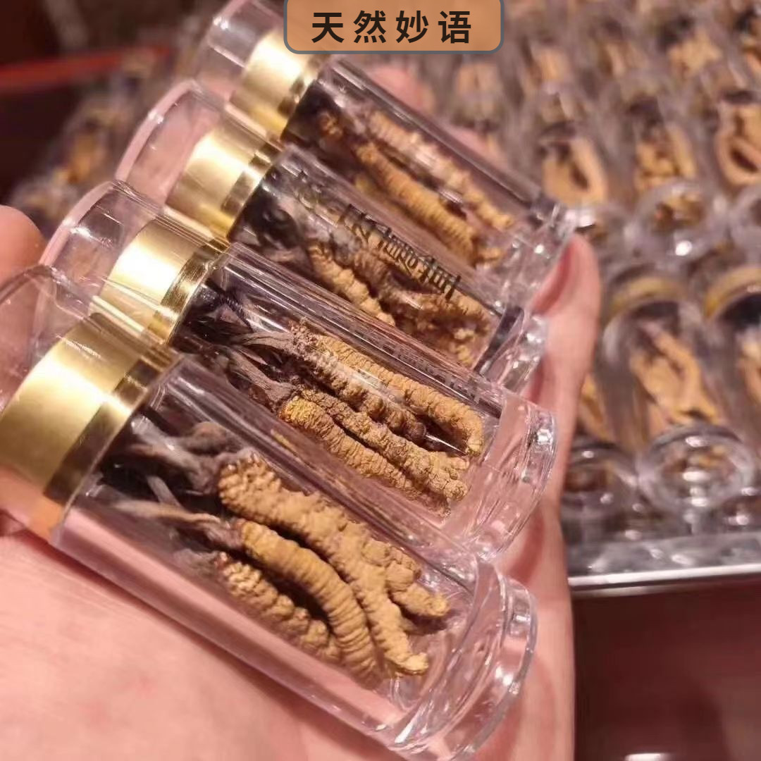 冬虫夏草(4-5根/克)适合自用泡酒茶煲汤粉非西藏那曲青海干虫草