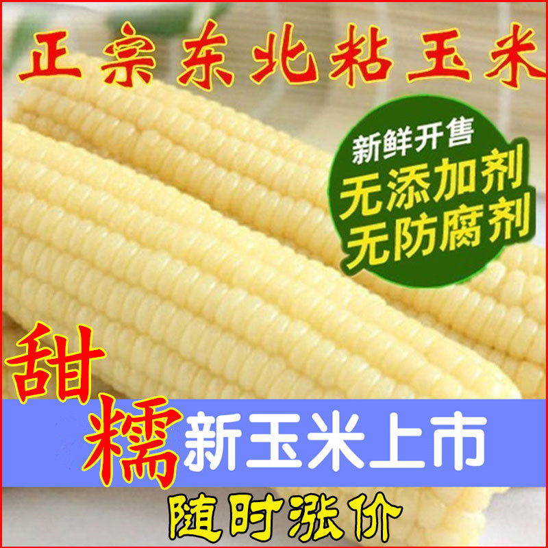 黑龙江新货东北特产农家白黏玉米棒速冻玉米棒粘苞米甜糯玉米10棒在类目 粮油米面/南北干货/调味品, 米/面粉/杂粮, 玉米中 - 来自Buy2taobao.com提供专业的淘宝代购服务