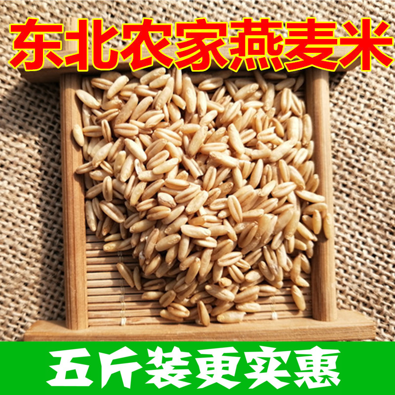 当季新货东北新货生燕麦米农家自产裸燕麦仁粒散装5斤包邮