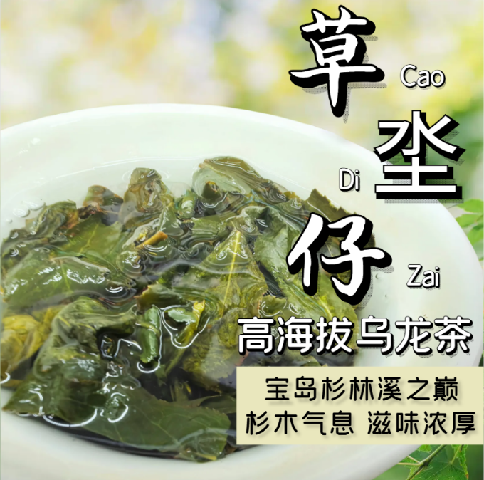 台湾高山乌龙茶龙凤峡高山茶