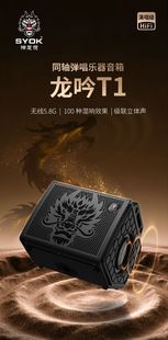 SYOK神龙乐器音箱龙吟T1 600W大功率户外路演音箱专业K歌直播音响