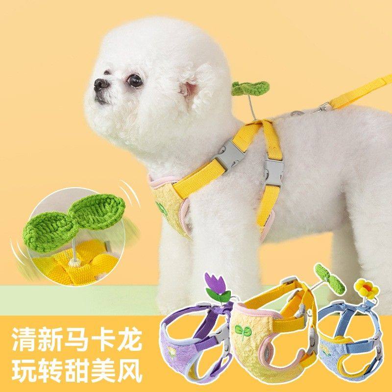 狗狗牵引绳夏季缤纷花朵胸背带中小型犬泰迪比熊外出宠物用品,宠物/宠物食品及用品,狗牵引绳,淘宝优惠券,粉丝福利购,淘宝优惠卷