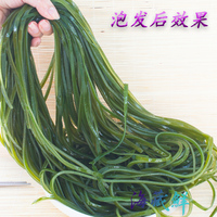 厚實海帶絲火鍋食材商用威海特產(chǎn)