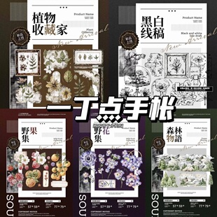 一丁点手帐植物收藏家黑白线稿野果集野花集森林物语和纸贝壳光