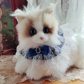 猫咪围兜口水巾蕾丝围脖口水兜宠物猫可爱蝴蝶结装 饰品仿真猫配饰