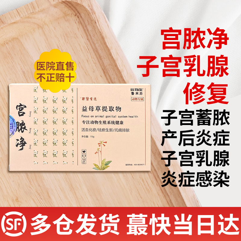 猫咪子宫蓄脓假孕宫脓清狗狗产后