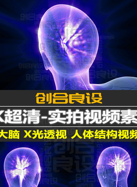 4K超清3D三维科技医疗医学紫色X光人体大脑透视PR短视频剪辑素材