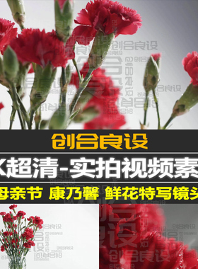 4K超清母亲节红色康乃馨花卉节日鲜花摄影特写PR短视频剪辑素材
