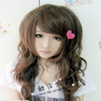 Perruque OTHER   Les cheveux longs - Ref 2609008 Image 1