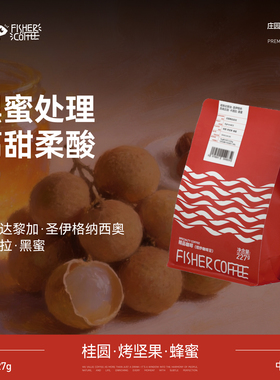 FISHER啡舍 哥斯达黎加卡图拉黑色蜜处理手冲咖啡豆中度烘焙 227g