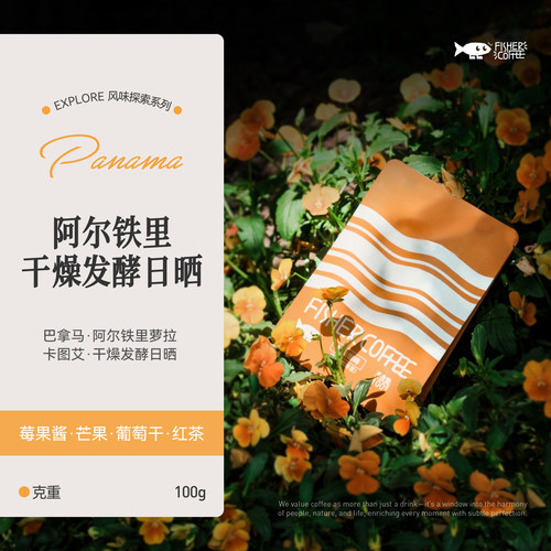 巴拿马阿尔铁里庄园手冲咖啡豆