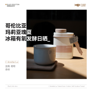 FISHER黑牌 100g 哥伦比亚玛莉亚冰箱有氧发酵日晒瑰夏手冲咖啡豆