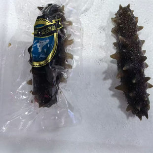 包邮顺丰大连即食海参长海县海参6-8头/斤刺参辽参大连海参海鲜