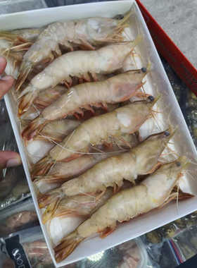 送礼对虾大海虾肉质饱满口感鲜美