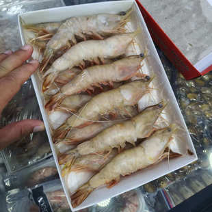 新鲜冷冻大海虾12只/盒净重约650g对虾白虾明虾黄虾东方虾大连产