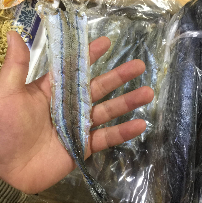 新鲜棒鱼干 棒鱼片马步鱼干针鱼干250g任选大小 烧烤料理店饭店用