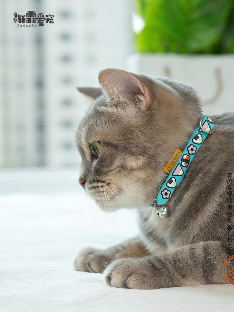 可爱猫脖圈带铃铛脖圈项圈