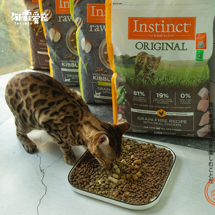 Instinct天然百利猫粮 优质高蛋白经典无谷鸡肉冻干成幼猫粮11磅