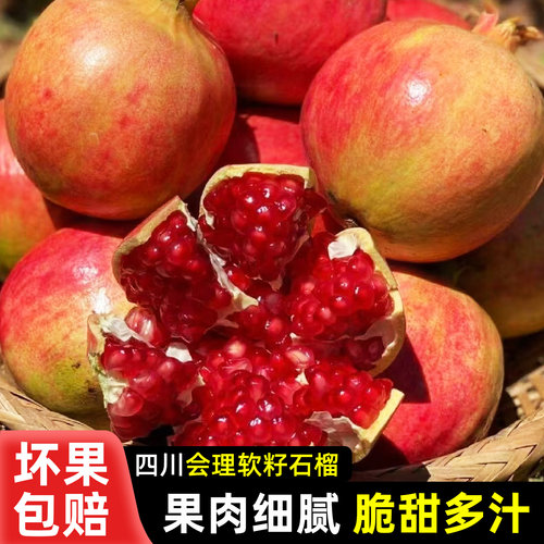 四川会理突尼斯软籽石榴当季水果新鲜采摘精品大果皮薄多汁礼盒装