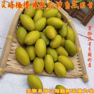 精选灵峰橄榄新鲜橄榄青橄榄果水果生青果福州闽清橄榄龙峰橄榄