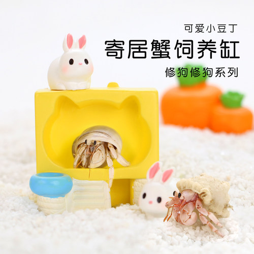 陌派可爱豆丁寄居蟹饲养套装套餐～饲养盒箱办公桌面萌宠儿童礼物