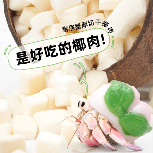 陌派寄居蟹罐装零食～专用食物爬宠虾蟹食物冻干椰片实惠冻干