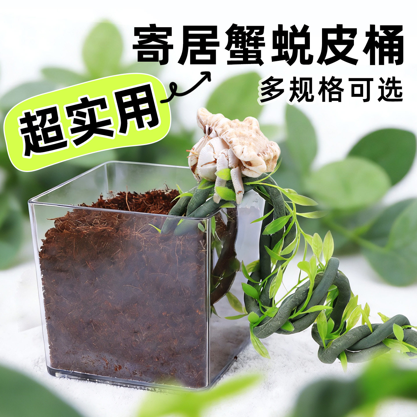 寄居蟹蜕皮桶套装～多尺寸可选图片