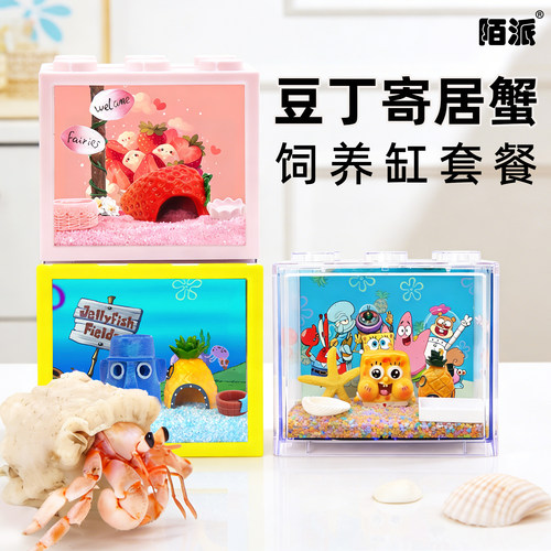 陌派豆丁寄居蟹饲养套装套餐寄居蟹活体饲养盒桌面创意缸儿童礼物