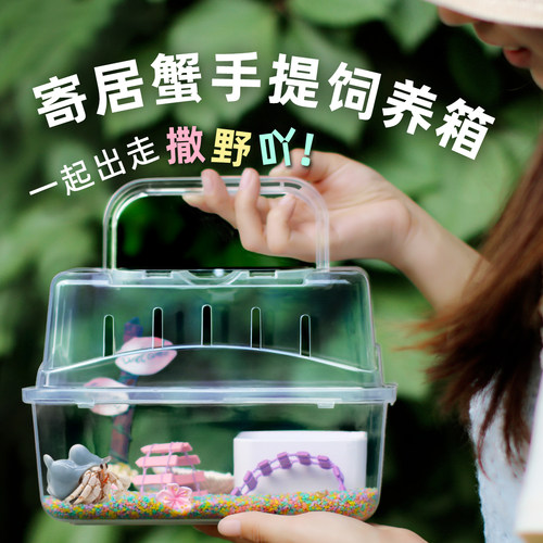 寄居蟹手提饲养盒箱～新手饲养相守蟹套餐套装 海绵宝宝 儿童礼物
