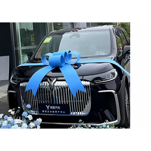 交车蝴蝶结蓝色新车提车交车仪式用品汽车4S店展厅布置提车装饰