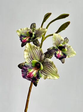 网红卡特兰仿真花假花盆栽室内桌面摆件轻奢复古客厅装饰假植物