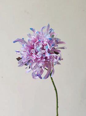 仿真花假花烟花菊绢花插花龙爪菊摆件客厅餐桌花束婚庆摄影道具