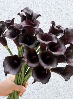 仿真花 马蹄莲 手感PU白色紫色海芋百合软装拍摄家居摆饰手捧花