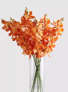 新中式橙色仿真手感千代兰过胶绢布兰花假花家居样板房花样板房