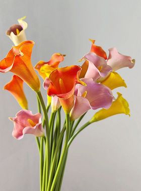 现代轻奢仿真花 马蹄莲 手感PU白色紫色海芋百合软装拍摄家居摆饰