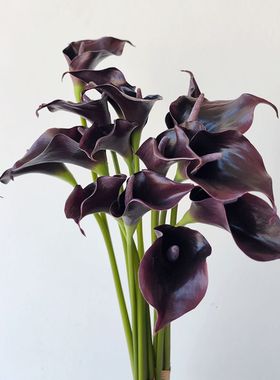 紫黑色马蹄莲海芋花高仿真北欧简约样板间装饰新娘手捧花摄影假花