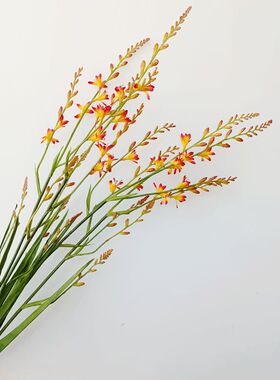 仿真带叶火焰兰假花兰花样板房