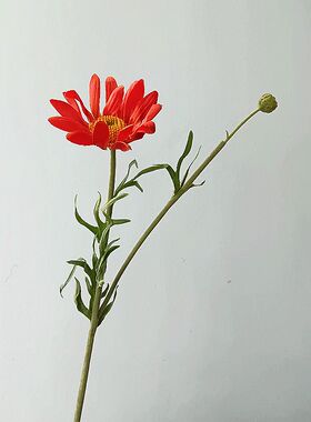 仿真花风车菊单枝假花