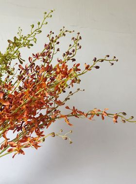 仿真珊瑚兰花红色千代兰跳舞兰客厅插花婚庆道具万代兰花拍摄道具