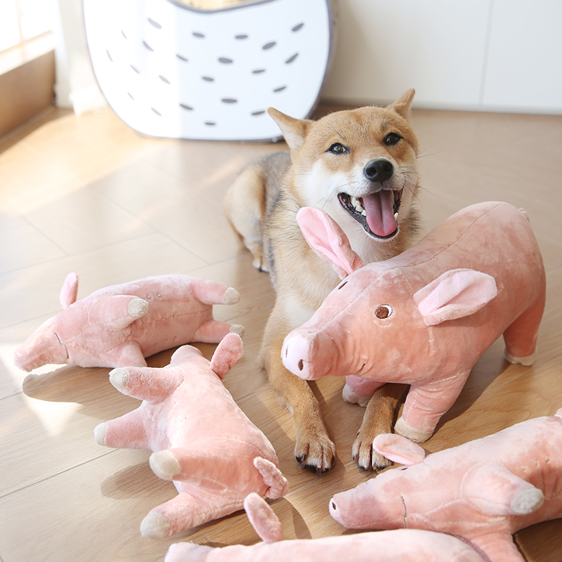 狗狗陪睡自嗨猪猪玩具