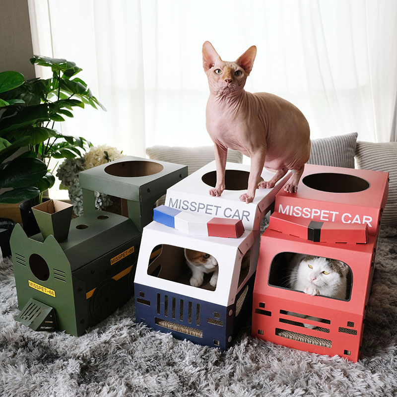 陈皮家MISSPET汽车猫