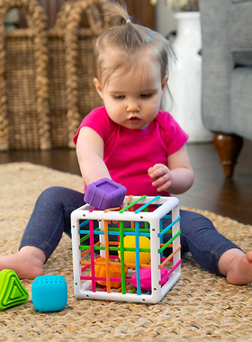 Fatbrain婴幼儿彩虹塞塞乐益智认知宝宝一岁早教盒子忙碌6-9个月