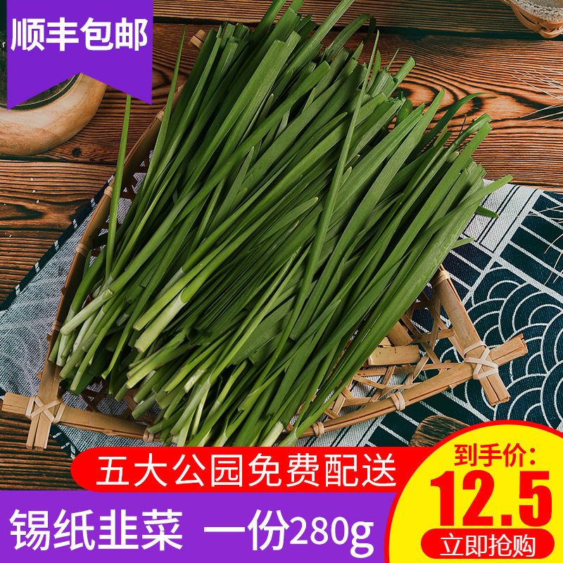 上海西北郎烧烤锡纸韭菜新鲜时令蔬菜户外烧烤食材真空外卖大份装