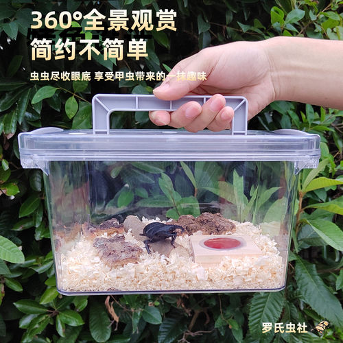 高透亚克力独角仙锹甲虫饲养盒箱