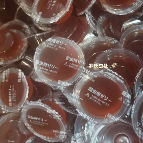 甲虫果冻独角仙饲料金龟营养食物
